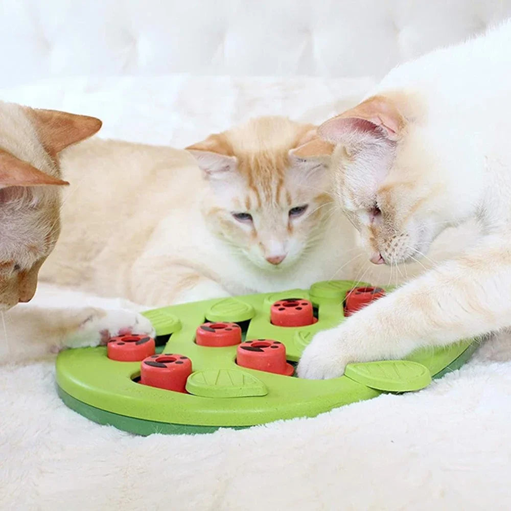 Interactieve puzzel & snackbord voor katten
