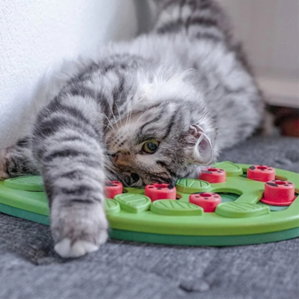 Interactieve puzzel & snackbord voor katten