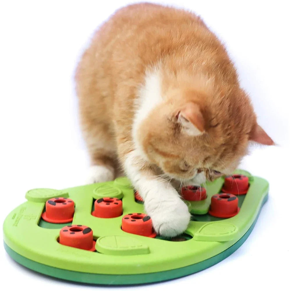 Interactieve puzzel & snackbord voor katten