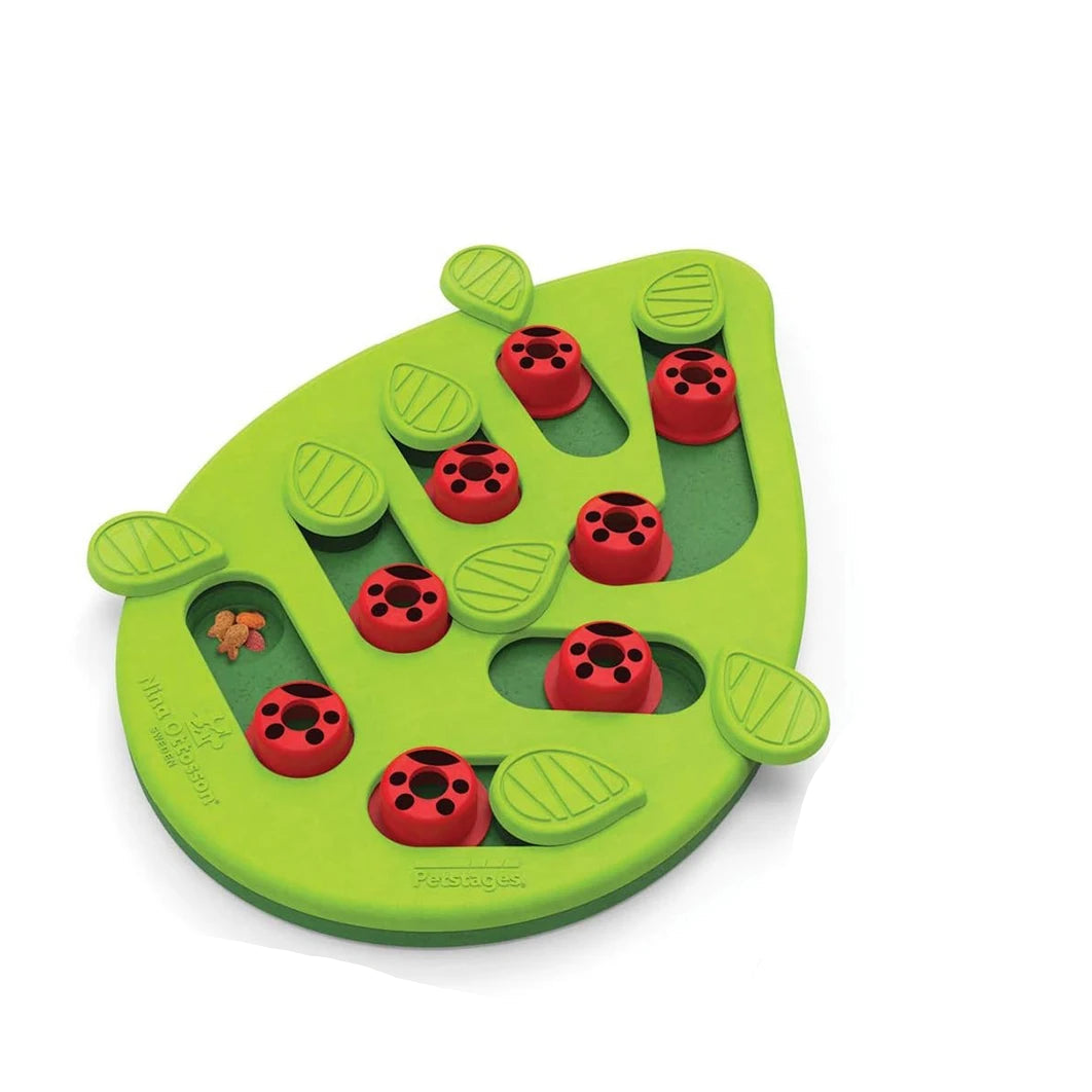 Interactieve puzzel & snackbord voor katten