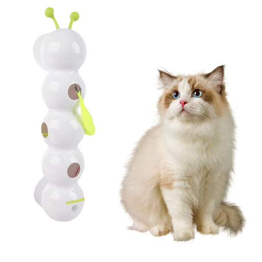 Interactief Worm kattenspeeltje