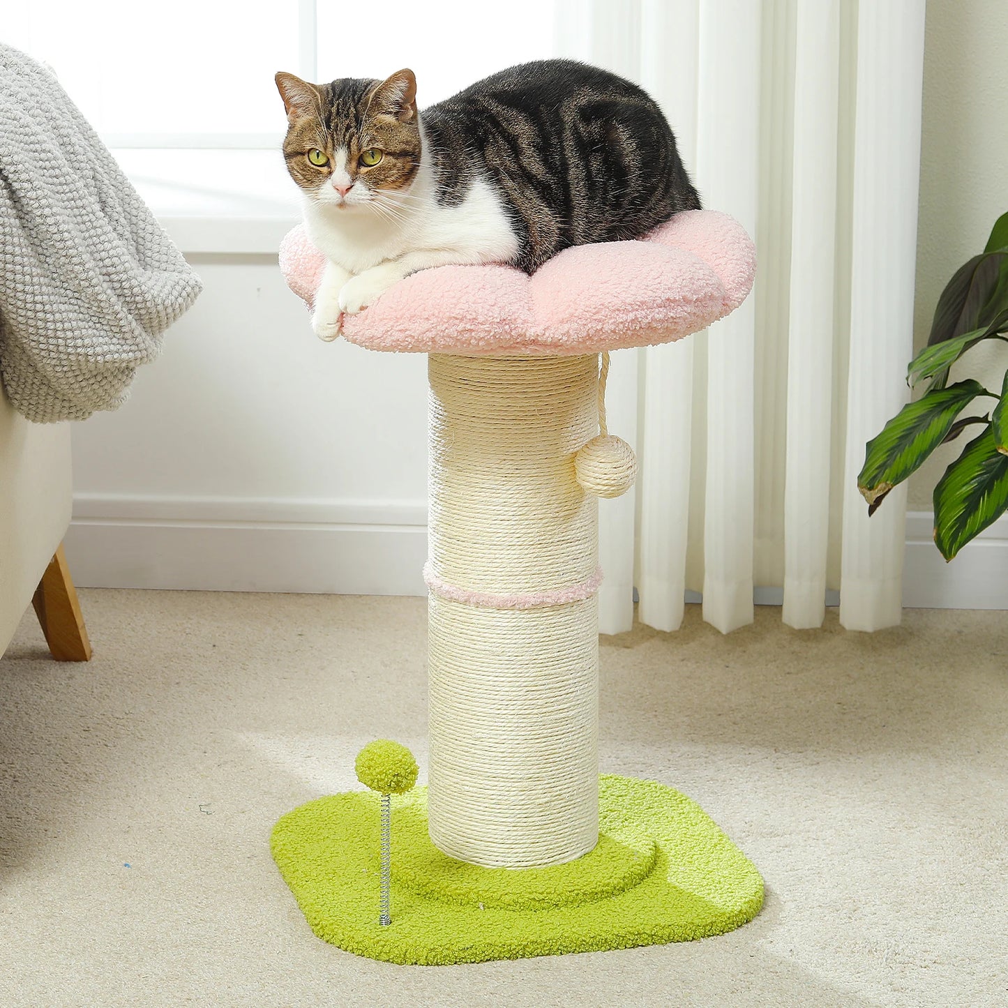 Bloemen Krabpaal met Verwijderbaar Kattenbed & Speelballen