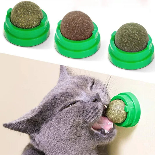 Natuurlijke kattenkruidbal – wandstick voor katten, traktatie & spijsverteringshulp